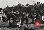Image of United States soldiers Burma, 1944, second 38 stock footage video 65675061648