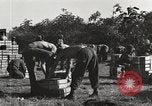 Image of United States soldiers Burma, 1944, second 39 stock footage video 65675061648