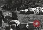 Image of United States soldiers Burma, 1944, second 12 stock footage video 65675061651