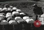 Image of United States soldiers Burma, 1944, second 34 stock footage video 65675061651