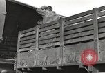 Standbild USA Soldaten Birma, 1944, aus Sekunde 43 historischem Filmmaterial Videoclip 65675061652