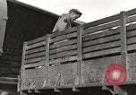 Standbild USA Soldaten Birma, 1944, aus Sekunde 47 historischem Filmmaterial Videoclip 65675061652
