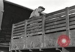 Standbild USA Soldaten Birma, 1944, aus Sekunde 48 historischem Filmmaterial Videoclip 65675061652