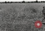 Image of C-47 aircraft Burma, 1944, second 8 stock footage video 65675061654