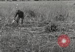 Image of C-47 aircraft Burma, 1944, second 12 stock footage video 65675061654