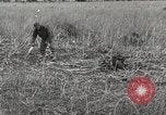Image of C-47 aircraft Burma, 1944, second 13 stock footage video 65675061654