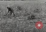 Image of C-47 aircraft Burma, 1944, second 15 stock footage video 65675061654
