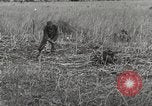 Image of C-47 aircraft Burma, 1944, second 16 stock footage video 65675061654