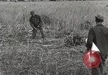 Image of C-47 aircraft Burma, 1944, second 17 stock footage video 65675061654