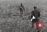 Image of C-47 aircraft Burma, 1944, second 18 stock footage video 65675061654