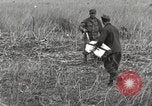 Image of C-47 aircraft Burma, 1944, second 19 stock footage video 65675061654