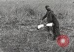 Image of C-47 aircraft Burma, 1944, second 20 stock footage video 65675061654