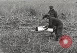 Image of C-47 aircraft Burma, 1944, second 21 stock footage video 65675061654