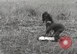 Image of C-47 aircraft Burma, 1944, second 22 stock footage video 65675061654