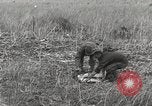 Image of C-47 aircraft Burma, 1944, second 23 stock footage video 65675061654