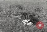 Image of C-47 aircraft Burma, 1944, second 25 stock footage video 65675061654