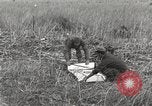 Image of C-47 aircraft Burma, 1944, second 26 stock footage video 65675061654