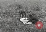 Image of C-47 aircraft Burma, 1944, second 27 stock footage video 65675061654