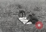 Image of C-47 aircraft Burma, 1944, second 28 stock footage video 65675061654