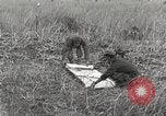Image of C-47 aircraft Burma, 1944, second 29 stock footage video 65675061654