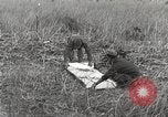 Image of C-47 aircraft Burma, 1944, second 30 stock footage video 65675061654
