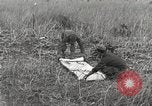 Image of C-47 aircraft Burma, 1944, second 31 stock footage video 65675061654