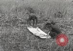 Image of C-47 aircraft Burma, 1944, second 33 stock footage video 65675061654