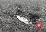 Image of C-47 aircraft Burma, 1944, second 34 stock footage video 65675061654