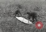 Image of C-47 aircraft Burma, 1944, second 36 stock footage video 65675061654