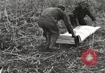 Image of C-47 aircraft Burma, 1944, second 37 stock footage video 65675061654