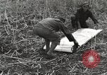 Image of C-47 aircraft Burma, 1944, second 38 stock footage video 65675061654