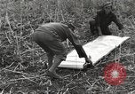 Image of C-47 aircraft Burma, 1944, second 39 stock footage video 65675061654