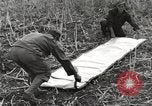 Image of C-47 aircraft Burma, 1944, second 42 stock footage video 65675061654