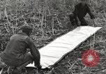 Image of C-47 aircraft Burma, 1944, second 45 stock footage video 65675061654