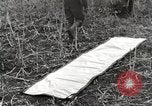 Image of C-47 aircraft Burma, 1944, second 49 stock footage video 65675061654