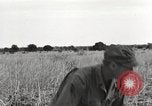 Image of C-47 aircraft Burma, 1944, second 60 stock footage video 65675061654