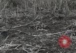 Image of C-47 aircraft Burma, 1944, second 62 stock footage video 65675061654