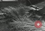 Image of United States Military units United States USA, 1956, second 8 stock footage video 65675061664