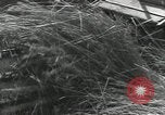 Image of United States Military units United States USA, 1956, second 11 stock footage video 65675061664