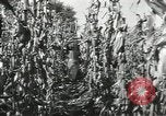Image of United States Military units United States USA, 1956, second 14 stock footage video 65675061664