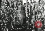 Image of United States Military units United States USA, 1956, second 18 stock footage video 65675061664