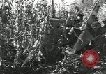 Image of United States Military units United States USA, 1956, second 19 stock footage video 65675061664