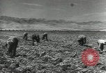 Image of United States Military units United States USA, 1956, second 36 stock footage video 65675061664