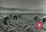 Image of United States Military units United States USA, 1956, second 37 stock footage video 65675061664