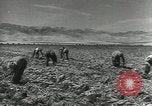 Image of United States Military units United States USA, 1956, second 38 stock footage video 65675061664