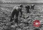 Image of United States Military units United States USA, 1956, second 39 stock footage video 65675061664