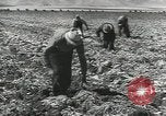 Image of United States Military units United States USA, 1956, second 40 stock footage video 65675061664