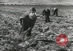 Image of United States Military units United States USA, 1956, second 41 stock footage video 65675061664