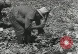 Image of United States Military units United States USA, 1956, second 42 stock footage video 65675061664