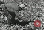Image of United States Military units United States USA, 1956, second 43 stock footage video 65675061664
